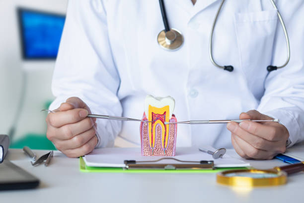 Best Emergency Tooth Extraction in Many, LA
